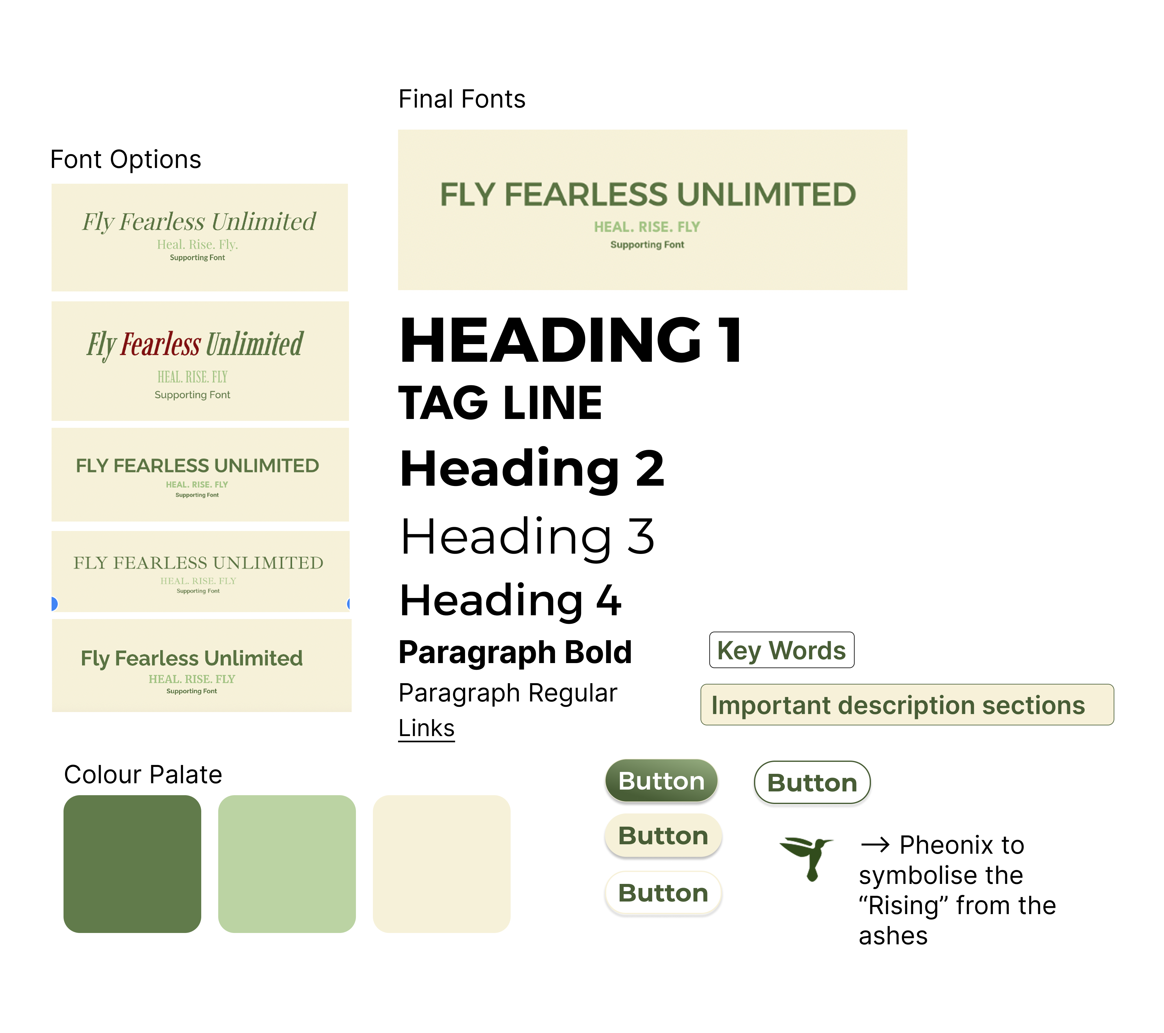 Fly Fearless design system — colour, type, and components